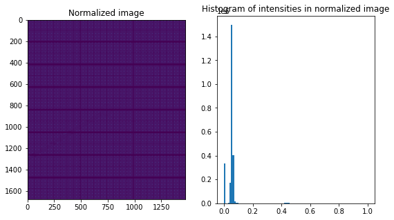../../../../_images/usage_tutorial_Detector_Pilatus_Calibration_Pilatus_ID15_12_1.png